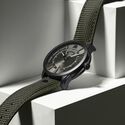 PONTOS DAY DATE